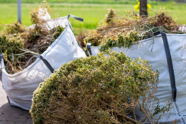 Best Yard Waste Removal  in Santa Teresa, NM